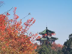 -北京西山国家森林公园