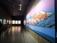 -罗红摄影艺术馆