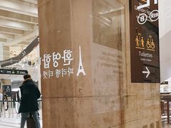 -戴高乐机场火车站