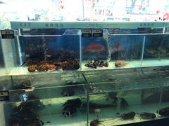 -东南里湖景餐厅·新闽菜(浦西万达店)