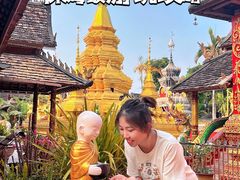 -西双版纳傣族园