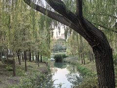 -尚贤河湿地