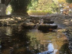 -成都市活水公园