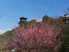 -杭州半山国家森林公园