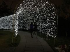 -秀丽东方