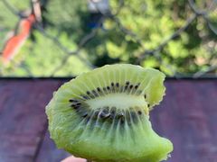 -陕西省红河谷森林公园