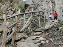 -王顺山国家森林公园