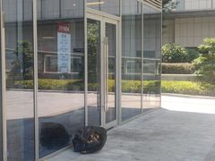 -方铲铲·成都板凳面(滨江银泰店)