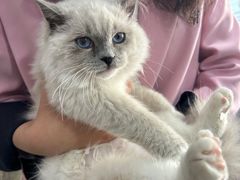 -宠爱国际维尼动物医院·疑难骨科·神经外科·肿瘤科(丰潭路店)