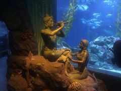 -暹罗海洋世界