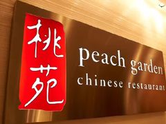 门面-桃苑(华侨银行大厦店)