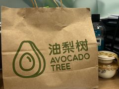 -油梨树AVOCADO TREE(嘉里中心店)
