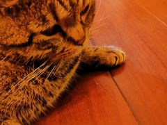 -云端咖啡私房店(河松街店)