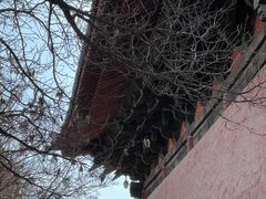 -善化寺