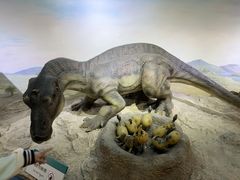 -国家自然博物馆