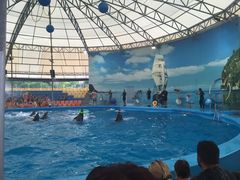 -尼莫海豚馆