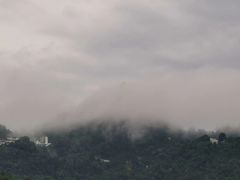 -南山植物园
