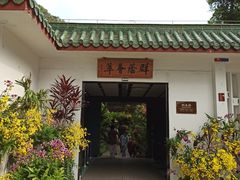 -深圳仙湖植物园