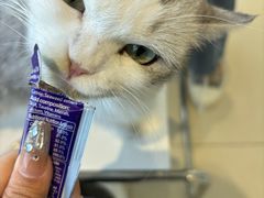 -怪兽屋·羊驼·猫咖·狗咖(俊华广场店)
