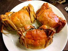 -上海虹桥宾馆味翠餐厅