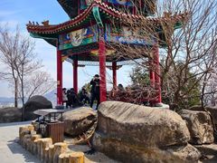 -白水寺森林公园