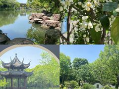 -西溪国家湿地公园