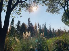 -艾溪湖湿地公园