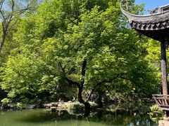 -惠山古镇·寄畅园