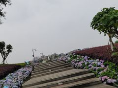 -天府芙蓉园