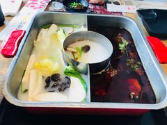 -新辣道鱼火锅(领展购物广场·中关村店)