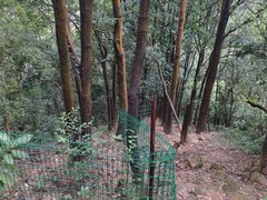 -火炉山森林公园