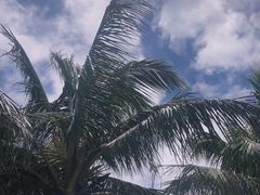 -深圳湾公园(南山区)