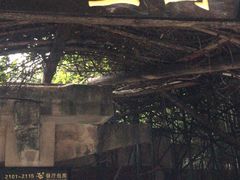 -天赐温泉