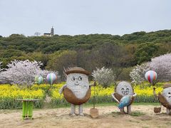 -苏州上方山国家森林公园