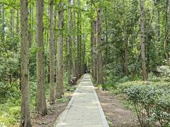-同里国家湿地公园