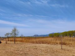 -野鸭湖国家湿地公园