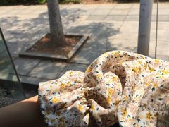 -7mall美食潮地标
