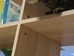 -有何Book(六堰体育馆店)