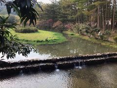 -田野绿世界