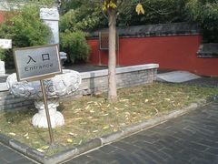 -紫竹院公园冰场