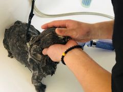 -喵汪宠物生活馆(涞坊路店)