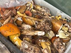 -杨记山珍鸡煲菌汤锅