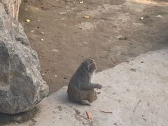 -太原动物园