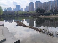 -木塔寺遗址生态公园