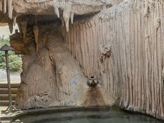 -仁爱团泊湖温泉中心