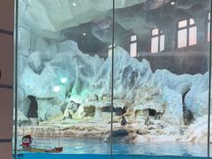 -帝企鹅自助餐厅•儿童岛•真企鹅(长隆企鹅酒店)