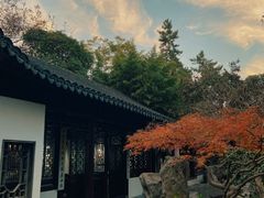 -秋霞圃