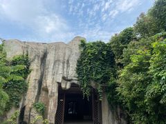 -大千天鹅湾温泉