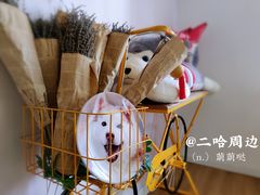 -Husky Go! 哈士奇体验馆·宠物咖啡厅狗咖