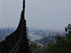 -南山植物园